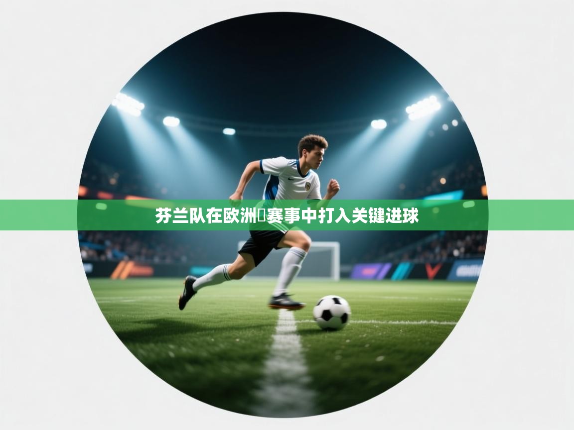 芬兰队在欧洲盃赛事中打入关键进球 第2张