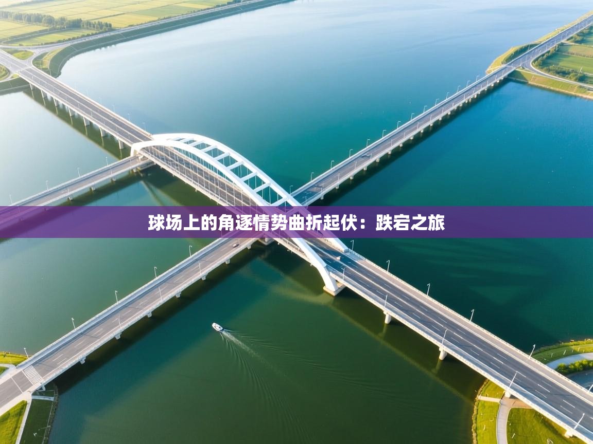 球场上的角逐情势曲折起伏：跌宕之旅  第2张